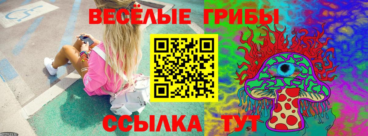 Псилоцибиновые грибы MAGIC MUSHROOMS  Галлюциногенные грибы мухоморы  Вышний Волочёк  Вход с VPN 