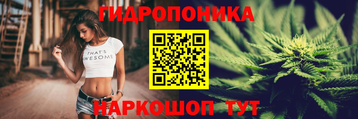Вышний Волочёк  Бошки Шишки сатива  Вход с VPN  Каннабис Bruce Banner 